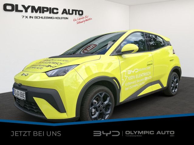 Bild des Angebotes BYD DOLPHIN SURF Boost NAVI SHZ KAMERA TEMPOMAT GJR