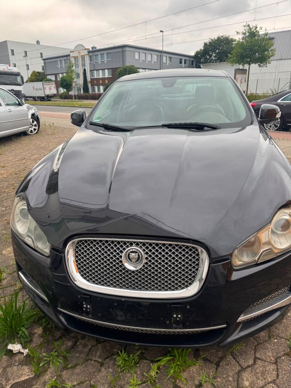 Bild des Angebotes Jaguar XF 2.7 L V6 Diesel Luxury Luxury
