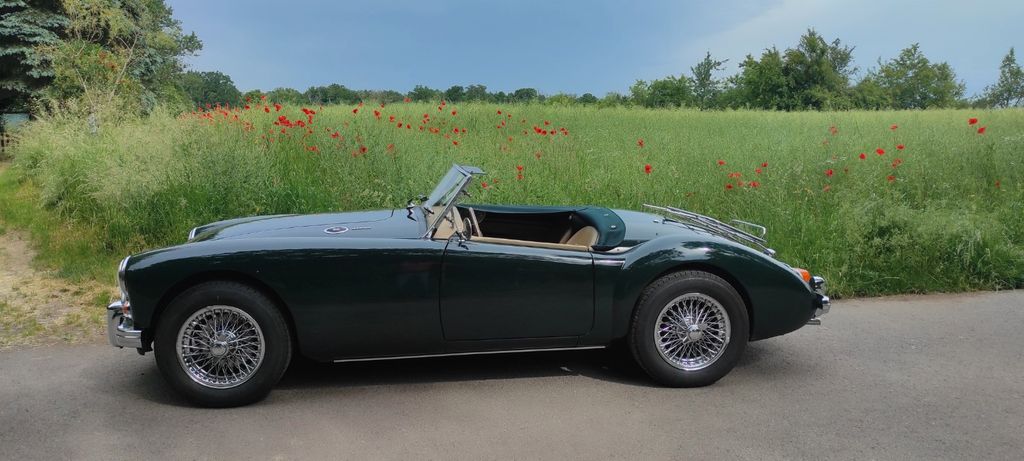 MGA