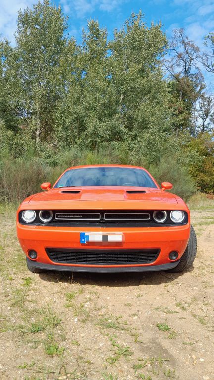 Bild des Angebotes Dodge Challenger 3,6 V6 Deutsche Ausführung 1. Hand