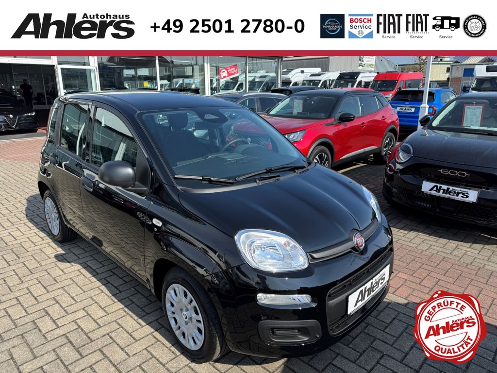 Bild des Angebotes Fiat Pandina Icon+5SITZER+KLIMA+BLUETOOTH+EINPARKHILF