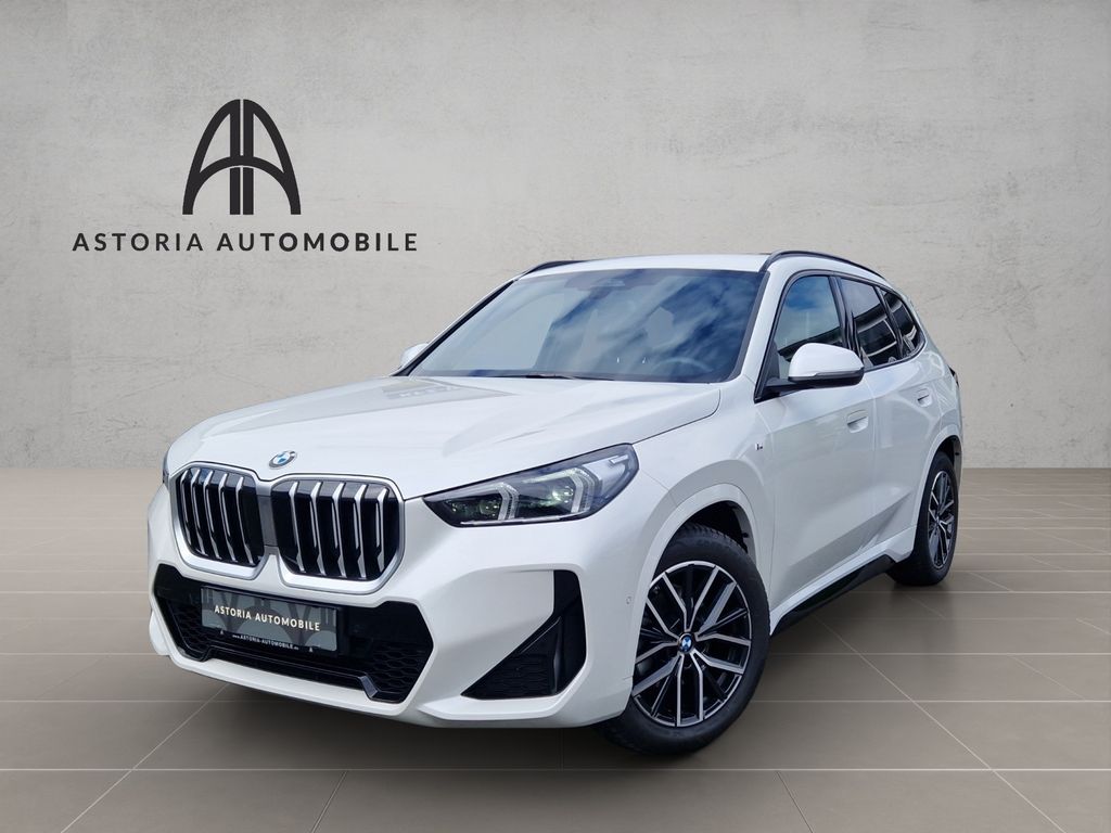 Bild des Angebotes BMW X1 20 d xDrive M-Sport Hexacube DAB Kamera Alcan