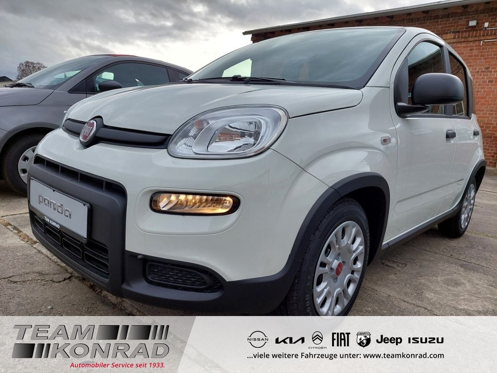 Bild des Angebotes Fiat Panda 1.0 Pandina DAB Spurhalteass. Verkehrszeic