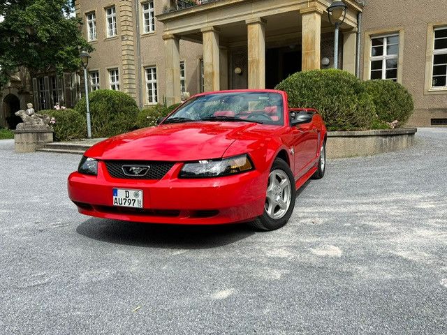 Bild des Angebotes Ford Mustang Leder