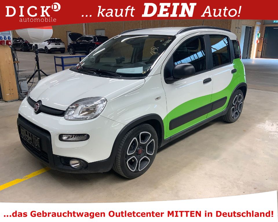 Bild des Angebotes Fiat Panda 1.0 City Life SHZ/DAB/PDC/8 FACH
