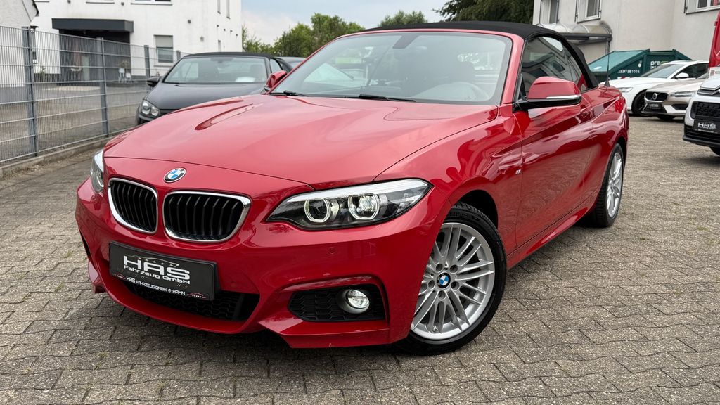 BMW 218i Cabrio M Sport / Leder-Navi-Tempomat-MFL /