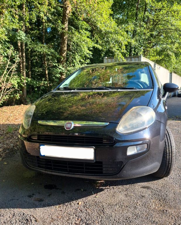 Bild des Angebotes Fiat Punto