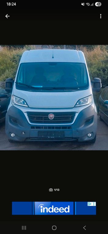 Bild des Angebotes Fiat Ducato mit Kühlausbau
