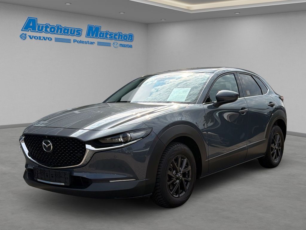 Bild des Angebotes Mazda CX-30 Selection HUD Navi Soundsystem Bose 360 Ka