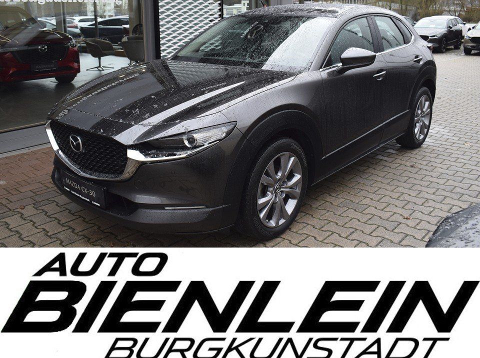 Bild des Angebotes Mazda CX-30 2.0 150PS Selection Kamera Navi DAB uvm.