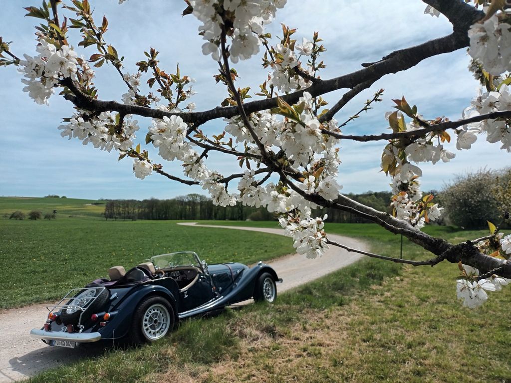 Bild des Angebotes Morgan Plus 8