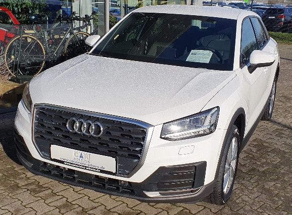 Bild des Angebotes Audi Q2 quattro Automatik LED Navi Allrad AHK
