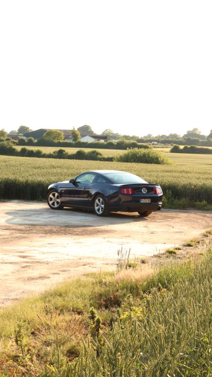Bild des Angebotes Ford Mustang