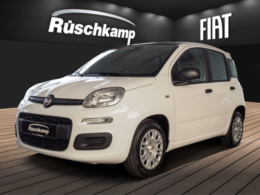 Bild des Angebotes Fiat Pandina Icon 1.0 Mild Hybrid PDC Klima