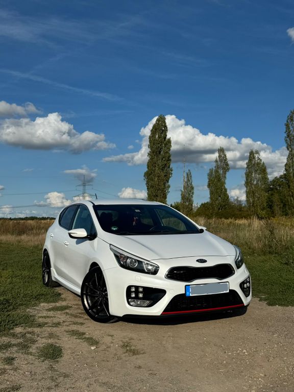 Bild des Angebotes Kia cee'd / Ceed 1.6 T-GDI GT-Challenge GT-Challenge