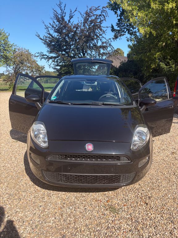 Bild des Angebotes Fiat Punto 1.2 8V POP POP