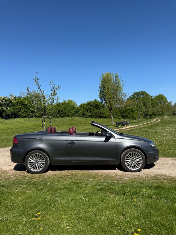 Bild des Angebotes Volkswagen Eos ( CUP Sondermodel )  2.0 TDI DSG BlueMotion