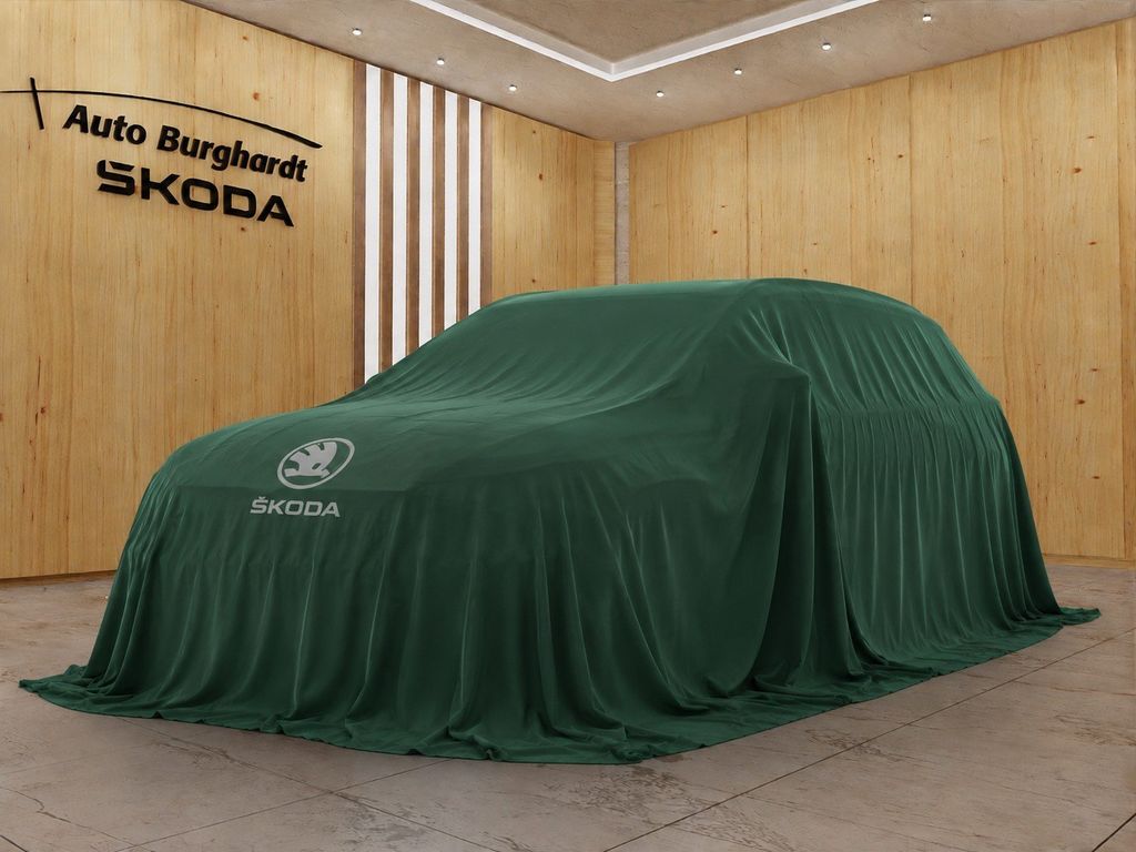 Bild des Angebotes Skoda Fabia 1.0 TSI Monte Carlo DSG *PlusPkt,Infotain*