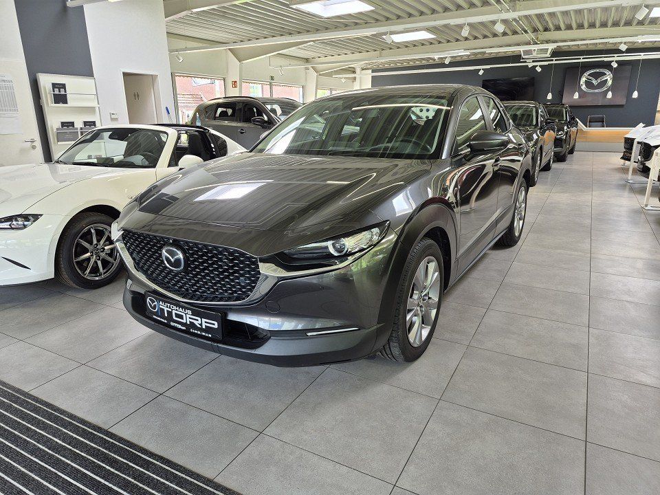 Bild des Angebotes Mazda CX-30 X 2.0 M Hybrid Selection I Active Paket un