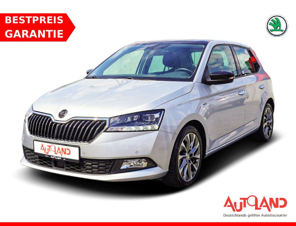 Bild des Angebotes Skoda Fabia 1.0 TSI Clever LED Navi ACC Kamera DAB
