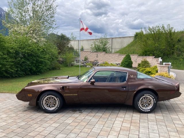 Bild des Angebotes Pontiac Trans Am