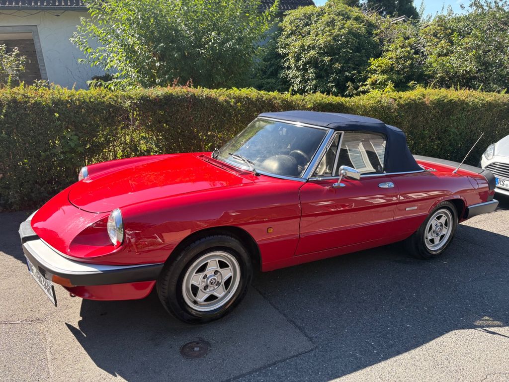 Alfa Romeo Spider 1,6  H-Kennz. Top-Zustand ! WGA 2+