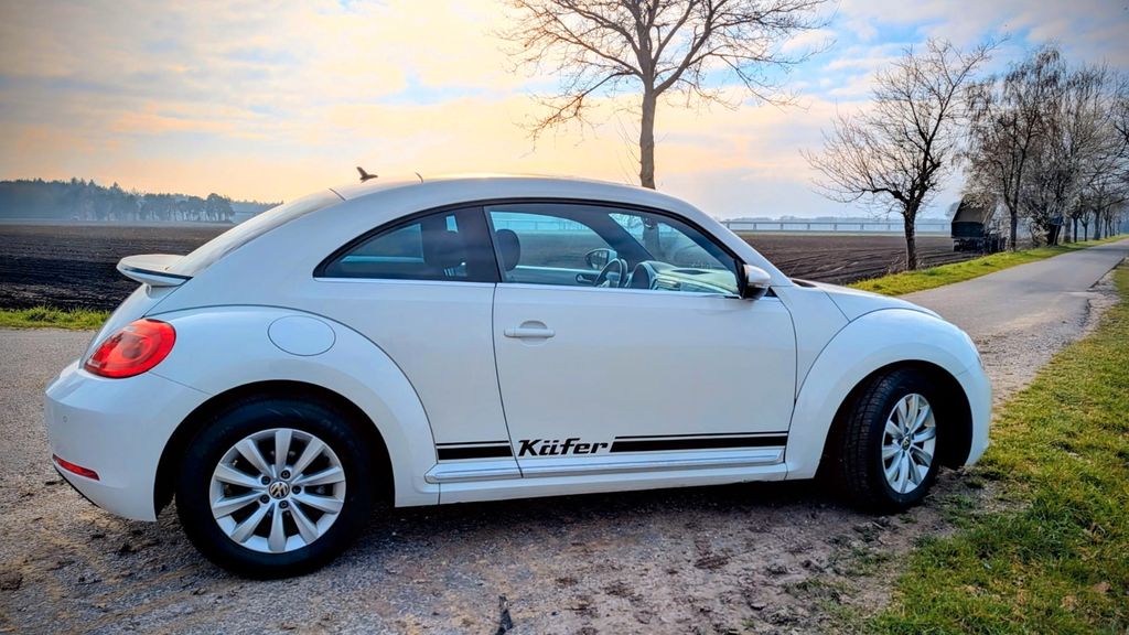 Volkswagen Beetle Käfer