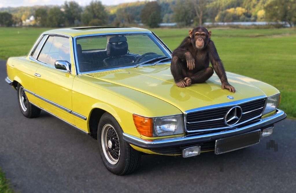 Bild des Angebotes Mercedes-Benz SLC 280 - 2.Hd. - H - wenig KM - Insp + Tüv neu