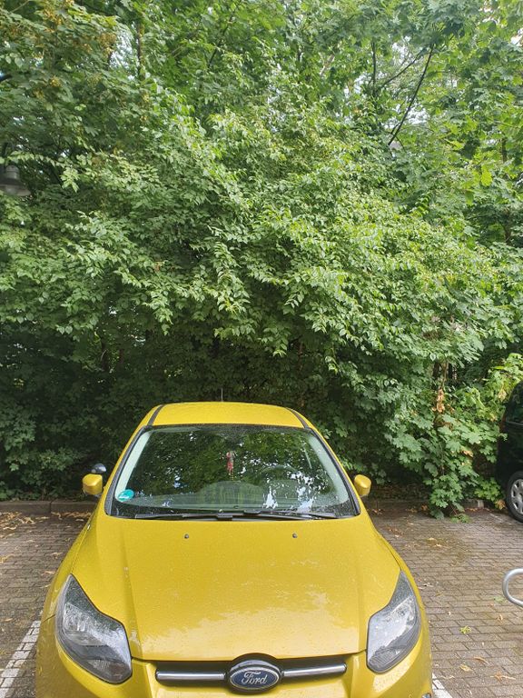 Bild des Angebotes Ford Focus 1,6 EcoBoost 110kW Titanium Titanium