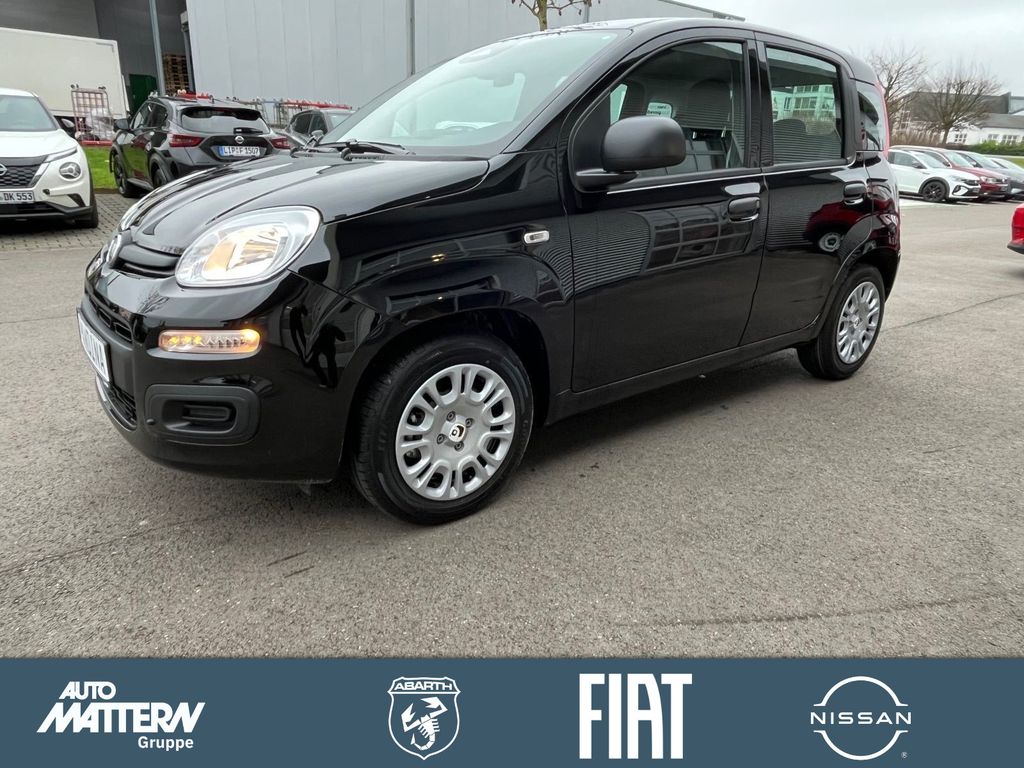 Bild des Angebotes Fiat Panda Pandina Icon,PDC,DAB
