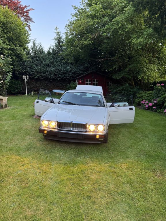 Bild des Angebotes Jaguar XJ40 - Letzte Chance