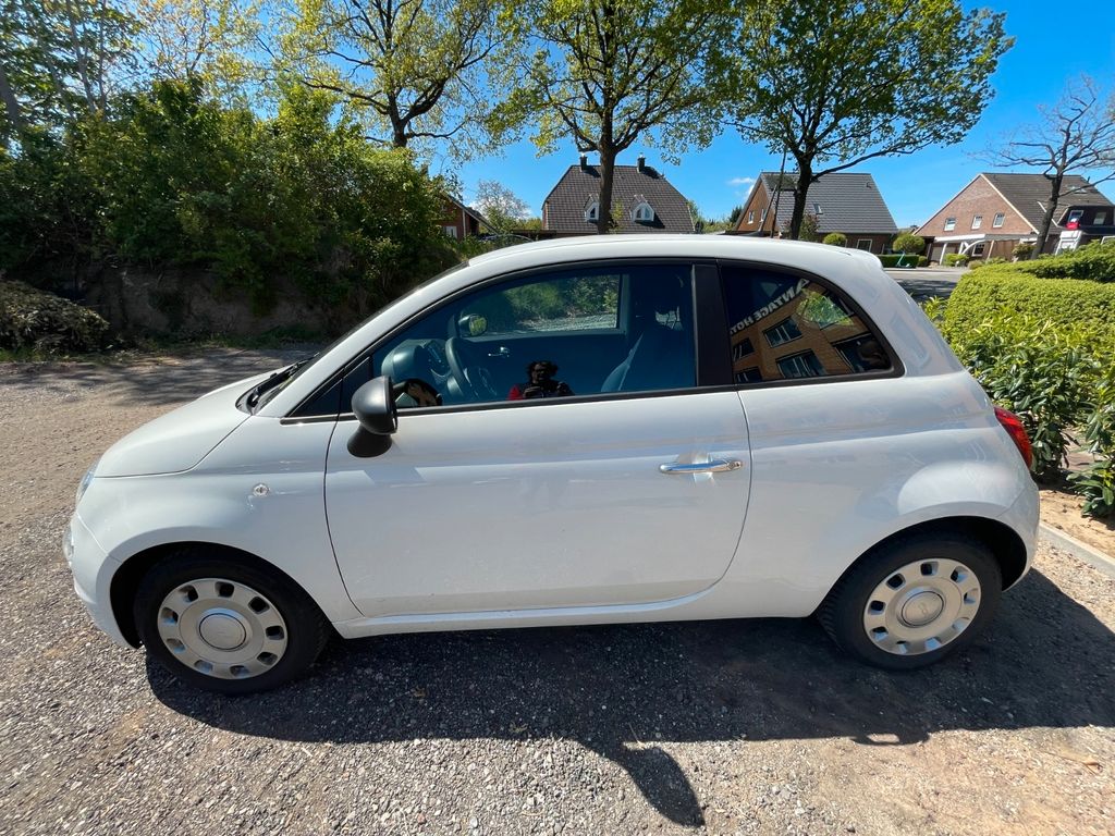 Bild des Angebotes Fiat 500 Cult