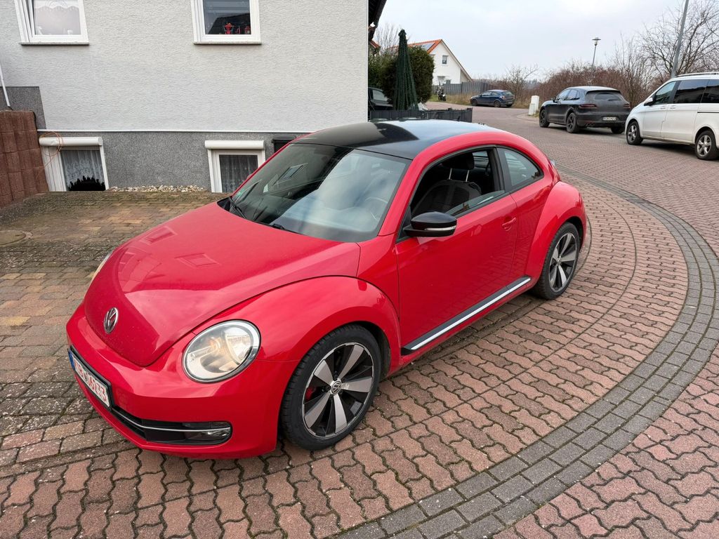 Bild des Angebotes Volkswagen Beetle Sport