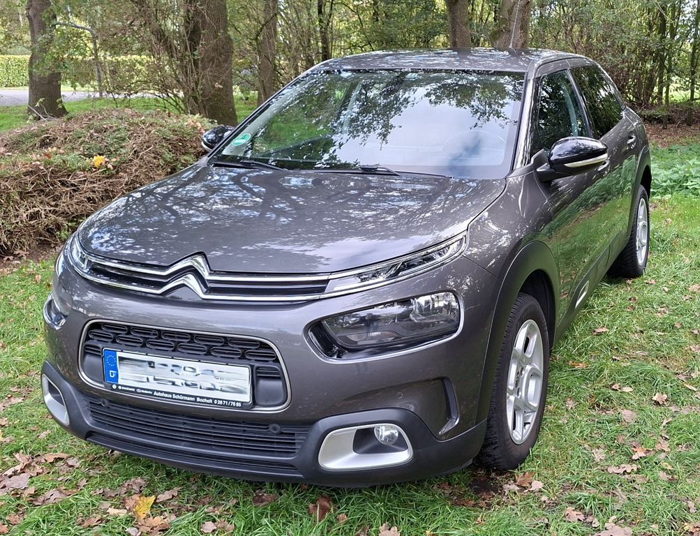 Bild des Angebotes Citroën C4 Cactus PureTech 110 Shine