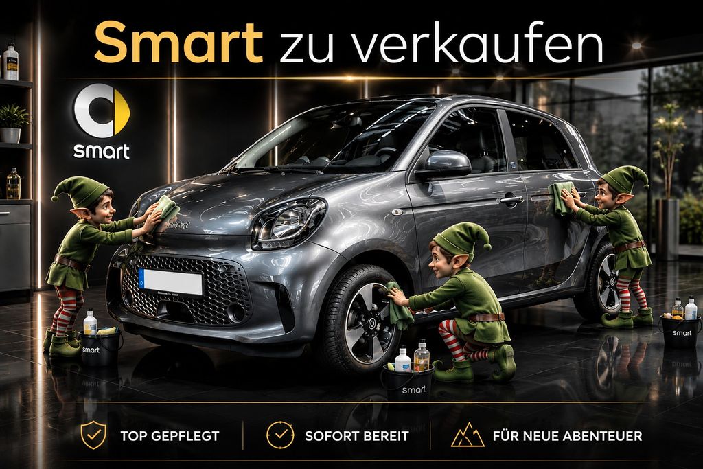 Smart forfour eQ Garantie RFK Android Allwetter Pano