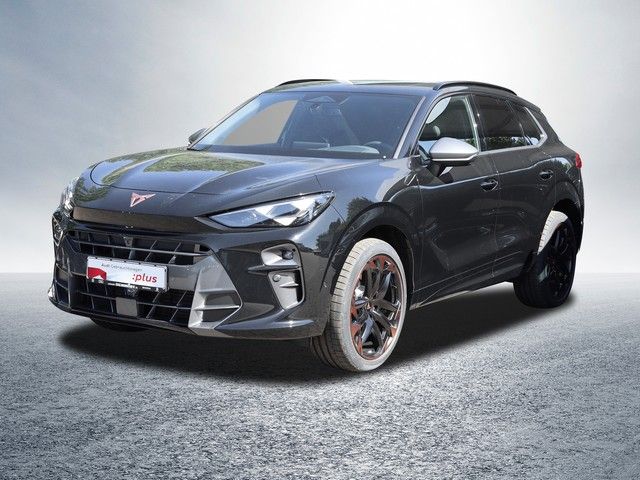 Cupra Terramar 2.0 TSI 4Drive VZ LM20 AHK Pano HD Matr