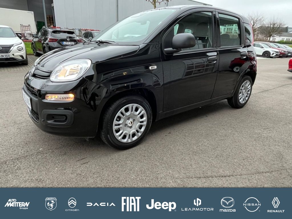 Bild des Angebotes Fiat Panda Pandina Icon,PDC,DAB