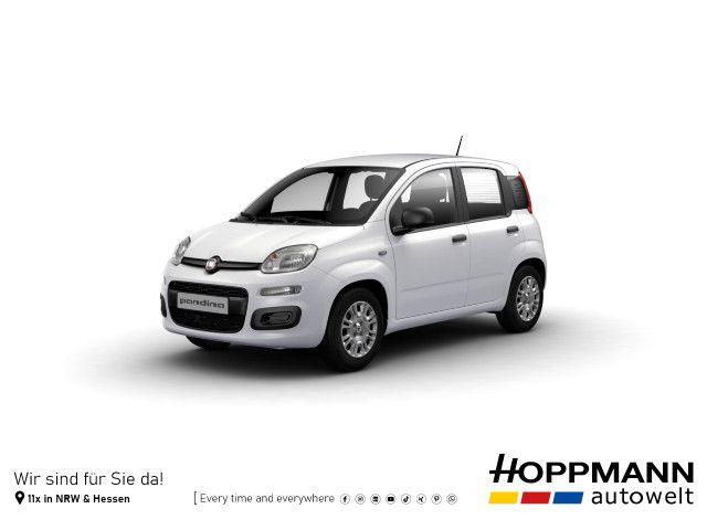 Bild des Angebotes Fiat Pandina Icon*PDC*Klima*Digitales Cockpit