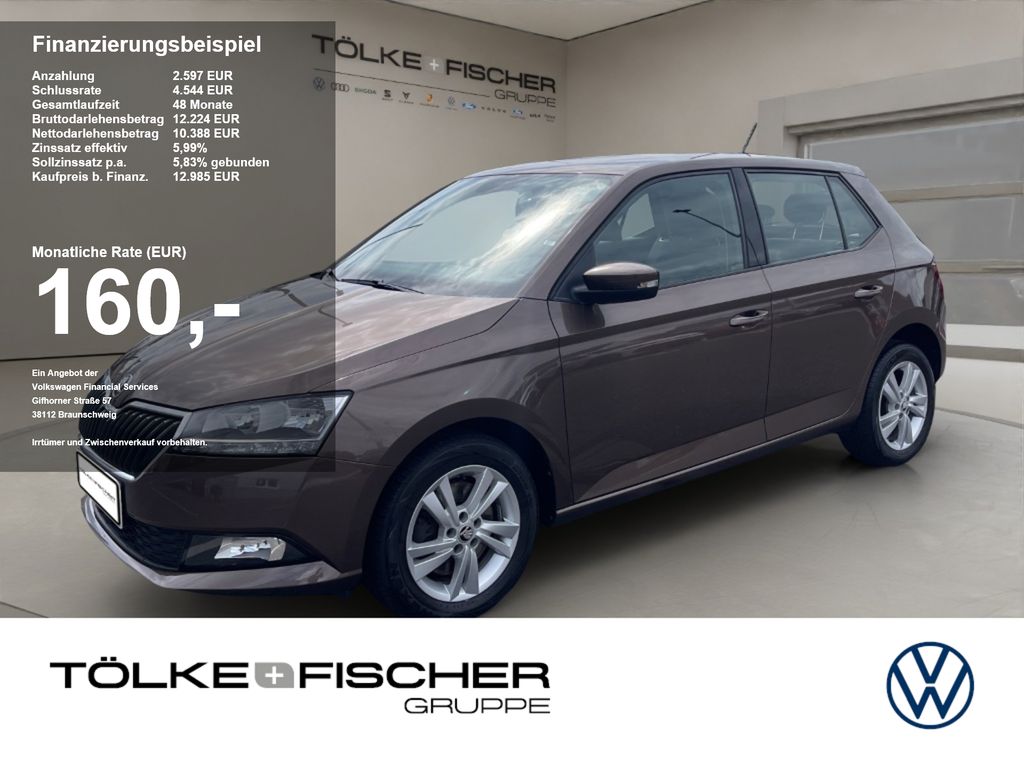 Bild des Angebotes Skoda Fabia 1.0 TSI Style Kam. KeyLess KlimaA. LM SHZ