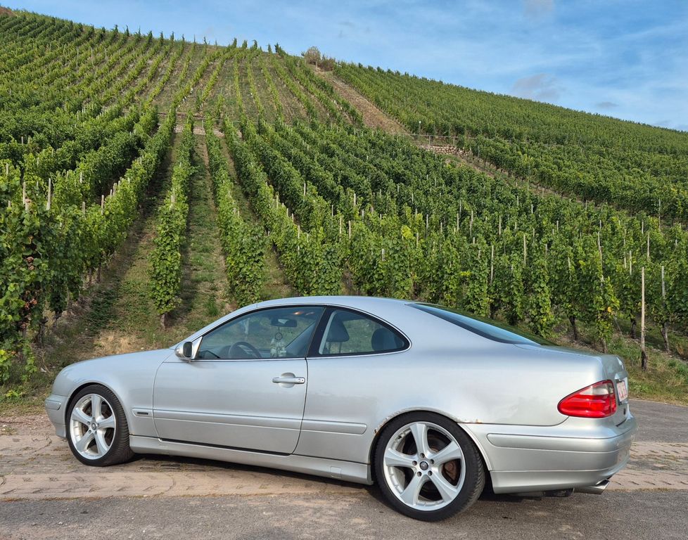 Bild des Angebotes Mercedes-Benz CLK 430 Avantgarde