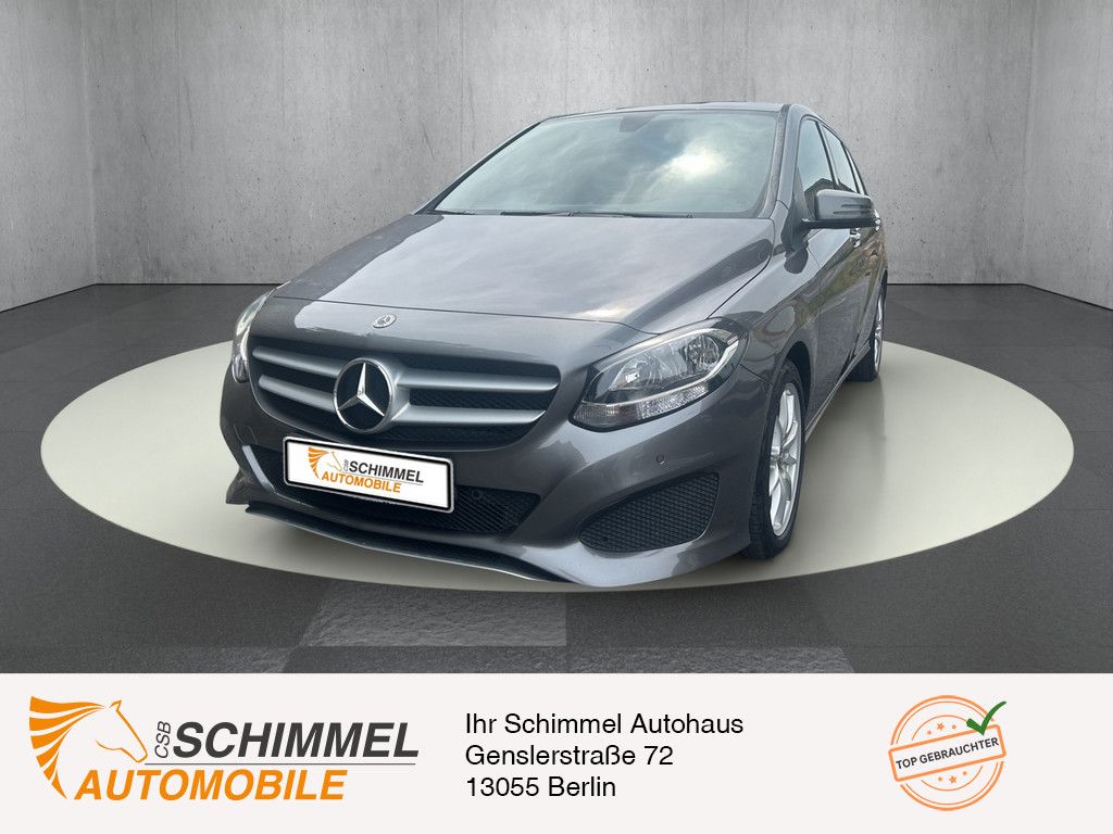Bild des Angebotes Mercedes-Benz B 250 NAVI KAM SHZ FACELIFT PTS LEDER KLIMA