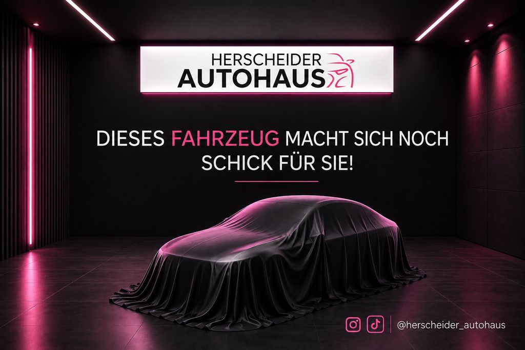 Renault Megane III RS  Renault Sport*Behördenfahrzeug*