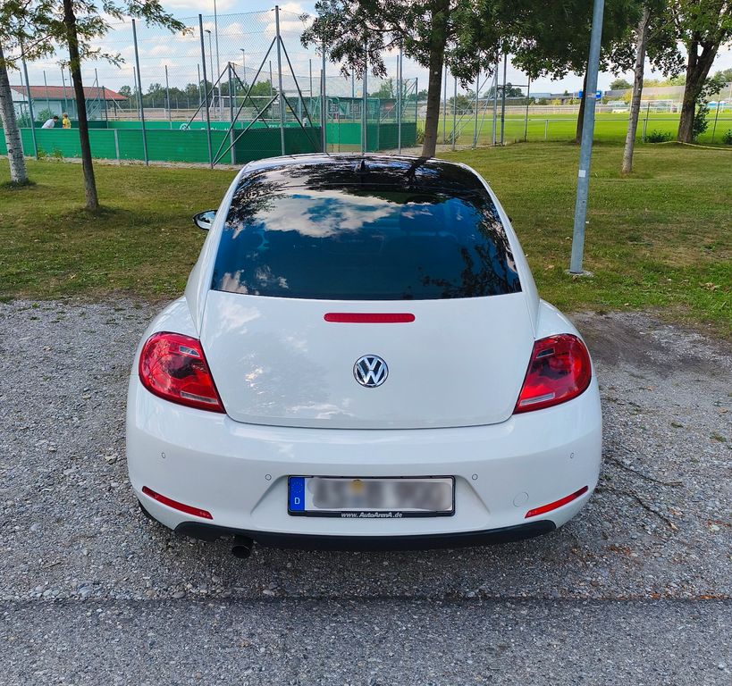 Bild des Angebotes Volkswagen Beetle Club | Scheckheft | Automatik | Navi