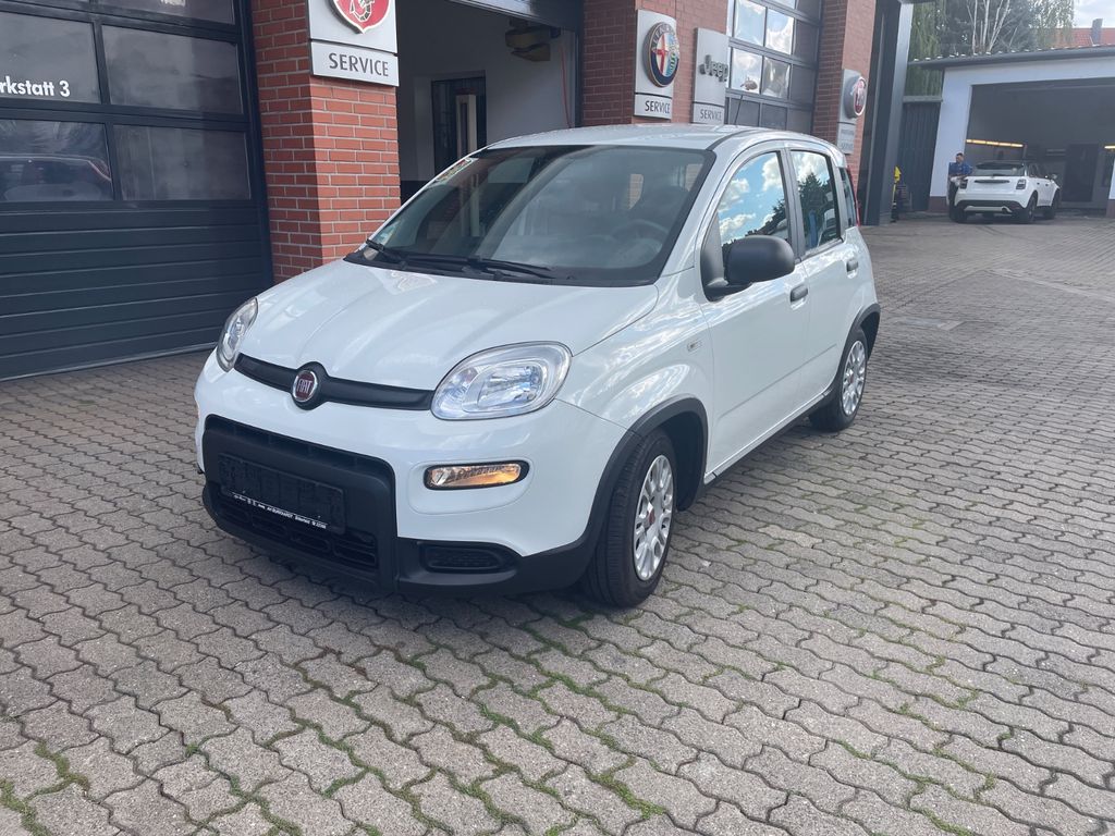 Bild des Angebotes Fiat Panda Base