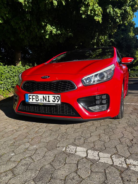 Bild des Angebotes Kia pro_cee'd / ProCeed 1.6 T-GDI GT-Challenge p...