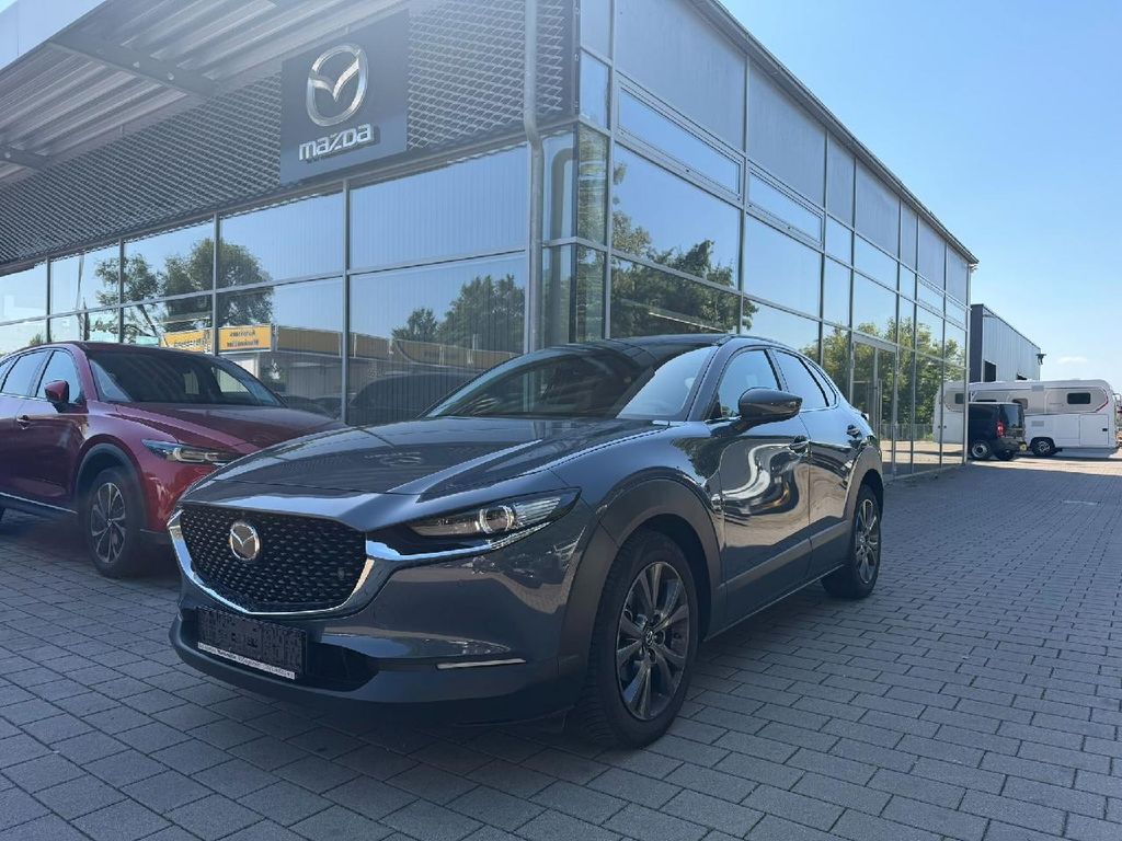 Bild des Angebotes Mazda CX-30 Selection 2WD
