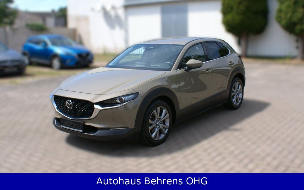 Bild des Angebotes Mazda CX-30 EZ2025 | 3tkm | Jahreswagen | Garantie