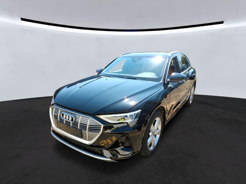 Bild des Angebotes Audi e-tron 50 quattro S line RFK+NAV+SHZ+LED+