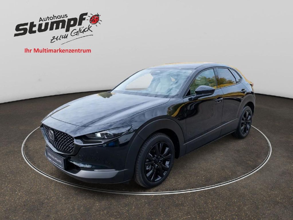Bild des Angebotes Mazda Makoto Bose/Teill./360°/HUD