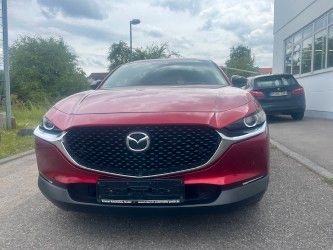 Bild des Angebotes Mazda CX-30 Homura 2WD